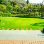 un giardino curato con prato tagliato e piante potate
