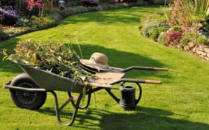lavori di giardinaggio