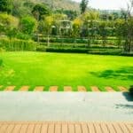 un giardino curato con prato tagliato e piante potate