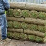 catasta di prato a rotoli che sta per essere posato su un terreno prima preparato a dovere